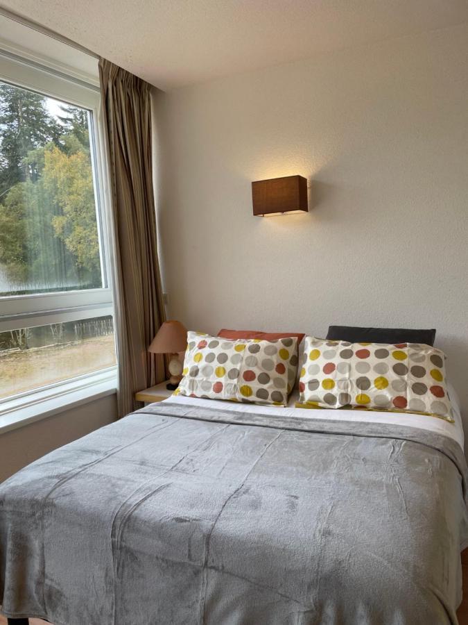 Appart'Hotel Lido Au Bord De L'Eau Gérardmer Kültér fotó